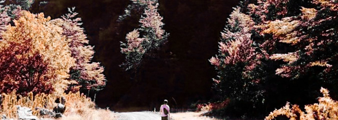 “El viejo cactus vuelve a florecer”: Descubre “Invierno”, el álbum póstumo de Shopan.